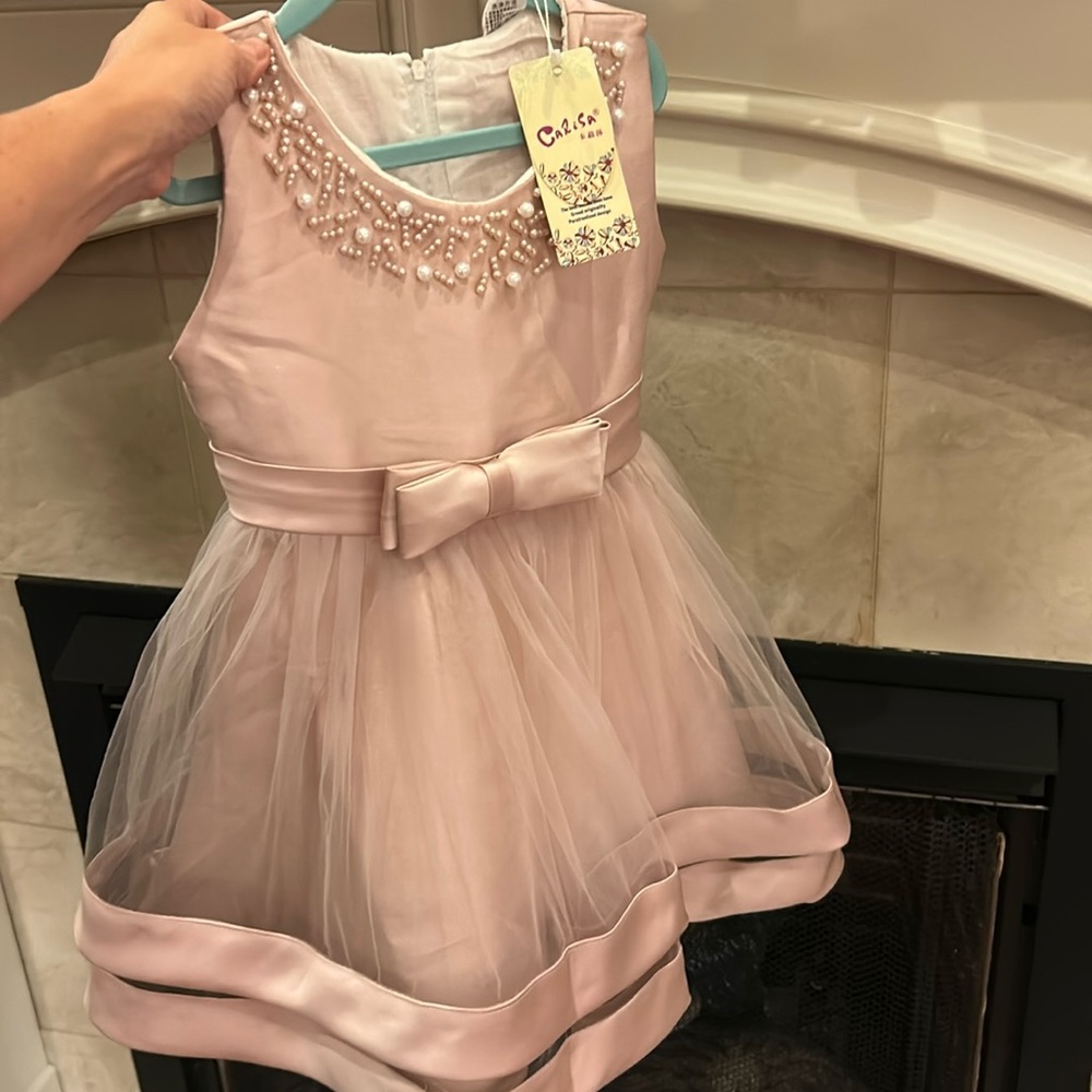 Carisa Mauve Dress NWT